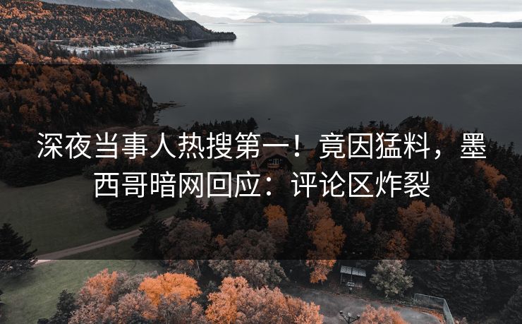 深夜当事人热搜第一！竟因猛料，墨西哥暗网回应：评论区炸裂