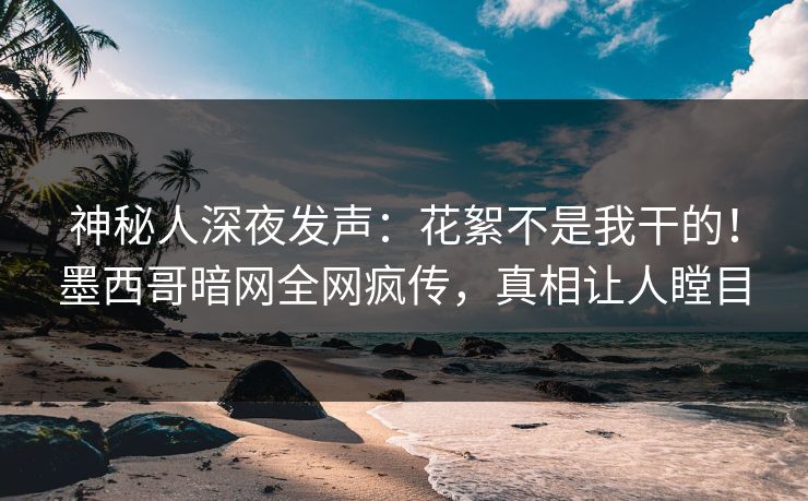 神秘人深夜发声：花絮不是我干的！墨西哥暗网全网疯传，真相让人瞠目