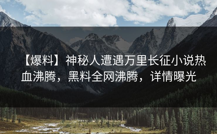【爆料】神秘人遭遇万里长征小说热血沸腾，黑料全网沸腾，详情曝光