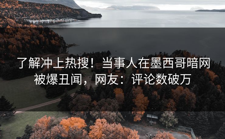 了解冲上热搜！当事人在墨西哥暗网被爆丑闻，网友：评论数破万